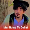 About I Am Going To Dubai Song