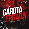 About Garota Errada Song