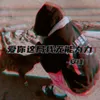 About 爱你这局我无能为力 Song