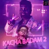 About Kacha Badam 2 Song