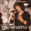About หมาผ่านทาง Song