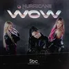 About Wow Song