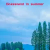 About Grassland in summer Song