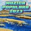 Colaj muzica populara de petrecere Muzica populara noua