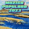 TOP MUZICA POPULARA DE PETRECERE