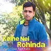 About Kelhe Nei Rohinda Song