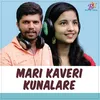 About Mari Kaveri Kunalare Song