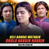 Beli Banrai Watnain Dhola Navain Navain