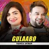 About Gulaabo Song