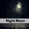 About Night Moon Song
