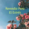 Remedio Para El Estrés