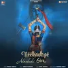 About Neelkanth Pe Nachchi Gora Song