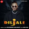 About Diljale Song