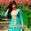 About Sajid Ka Rob Song