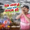 About Pk Nasha Mein Nashail Bani Song