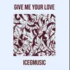 About Give me your love Song