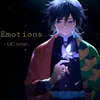 About Emotions Song