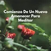 Música Para Dormir En Armonía