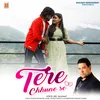 About Tere Chhune Se Song