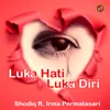 About Luka Hati Luka Diri Song