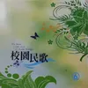 纷纷飘坠的音符