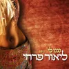 About נגנו לי Song