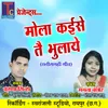 About Mola Kaise Tai Bhulaye Song