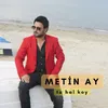 About Tu Hal Koy Song