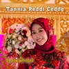 About Tannia Peddi Cedde Song