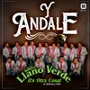 About Y ándale Song