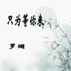 About 只为等你来 Song