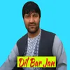 Dil Bar Jan