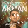 About Gökyüzü Mavi Song