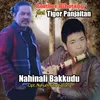 About NAHINALI BAKKUDU Song