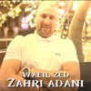About Zahri Adani Song