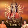 About Mata Tere Charno Ki Song