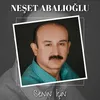 About Senin İçin Song