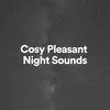 Cosy Pleasant Night Sounds, Pt. 7