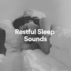 Restful Sleep Sounds, Pt. 1