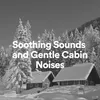 Soothing Sounds and Gentle Cabin Noises, Pt. 1