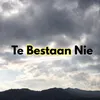 Te Bestaan Nie