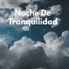 About Noche De Tranquilidad Song