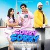 About Sorry Sorry Song