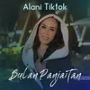 About ALANI TIKTOK Song