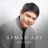 About Арман ару Song