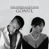 About Gönül Song