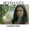 About Nerdesin Song