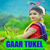 About Gaar Tukel Song