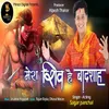 About Mera Shiv He Badsha Song