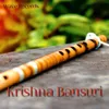 About Krishna Bansuri Song